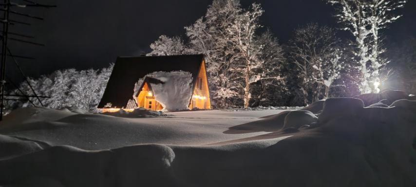 Vila Sun Forest Žabljak Dış mekan fotoğraf