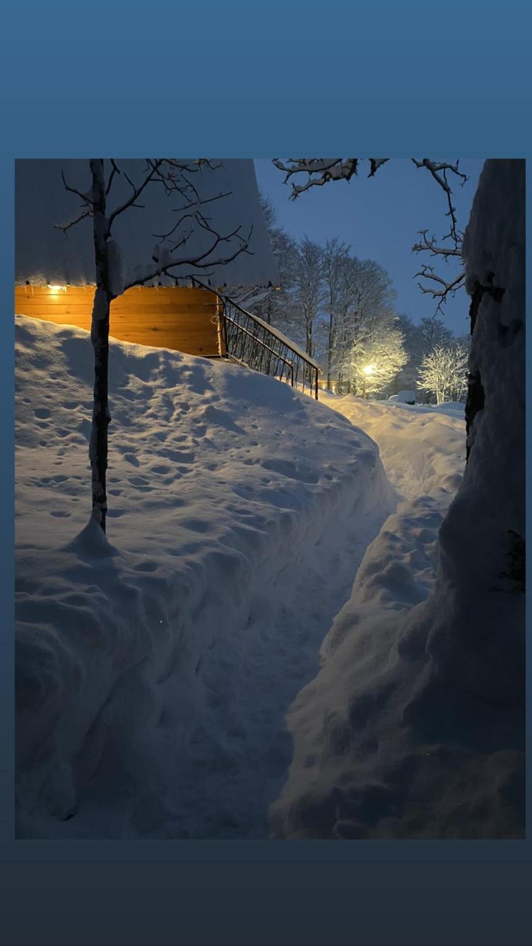 Vila Sun Forest Žabljak Dış mekan fotoğraf